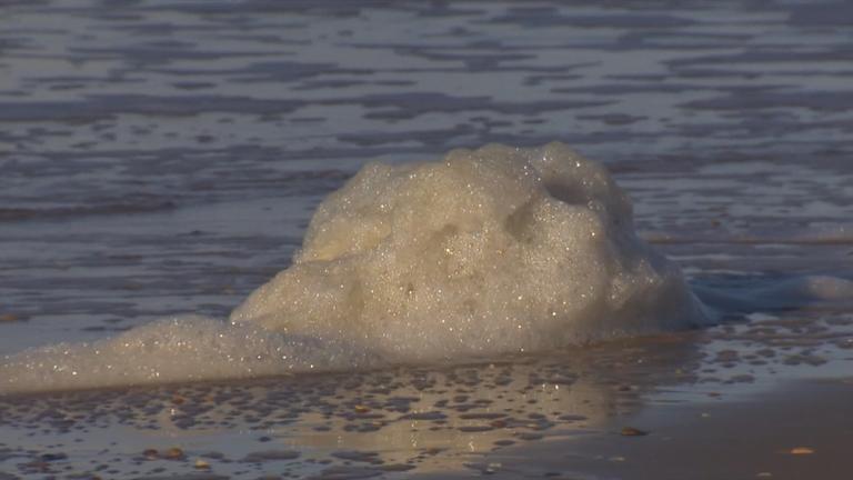 Gefährlicher Schaum an deutschen Stränden