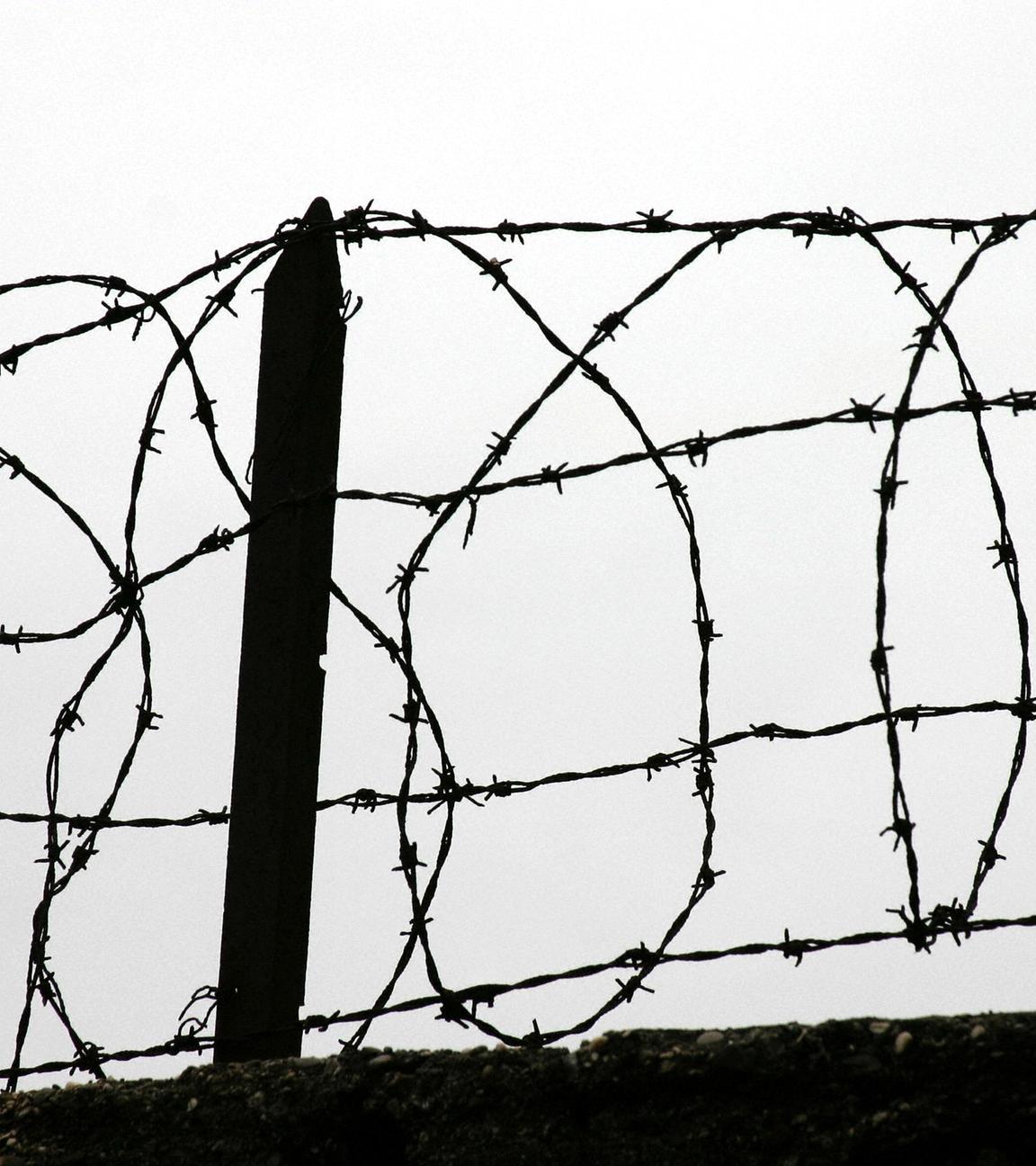 Stacheldrahtzaun