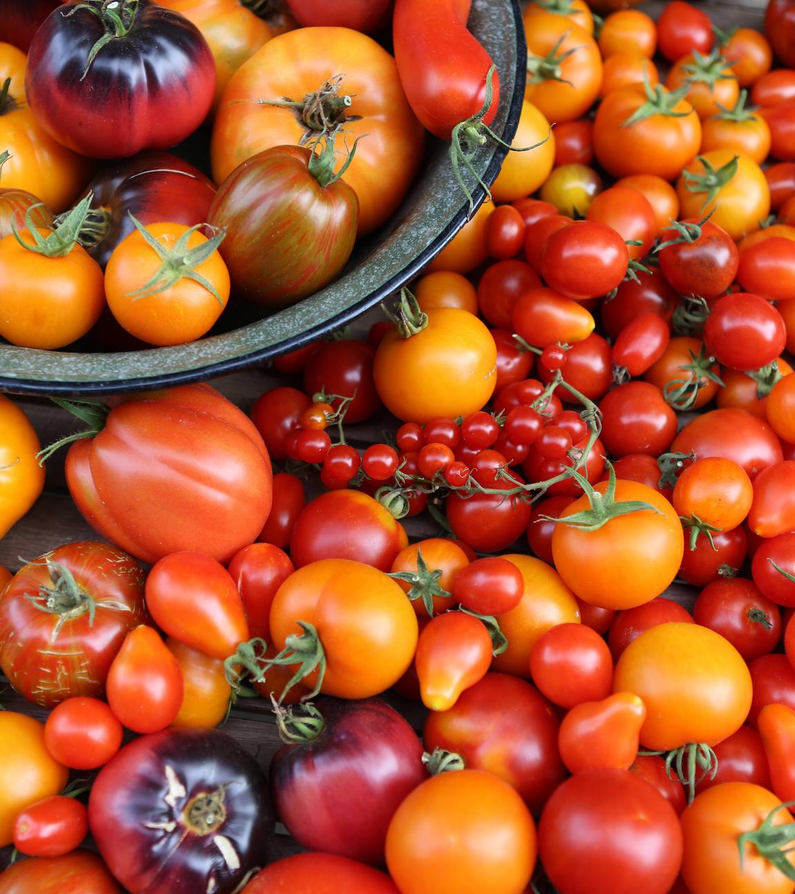 Rezepte rund um Tomaten 