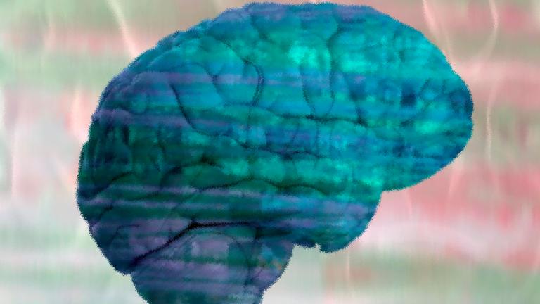 Grafische Illustration eines Gehirns.