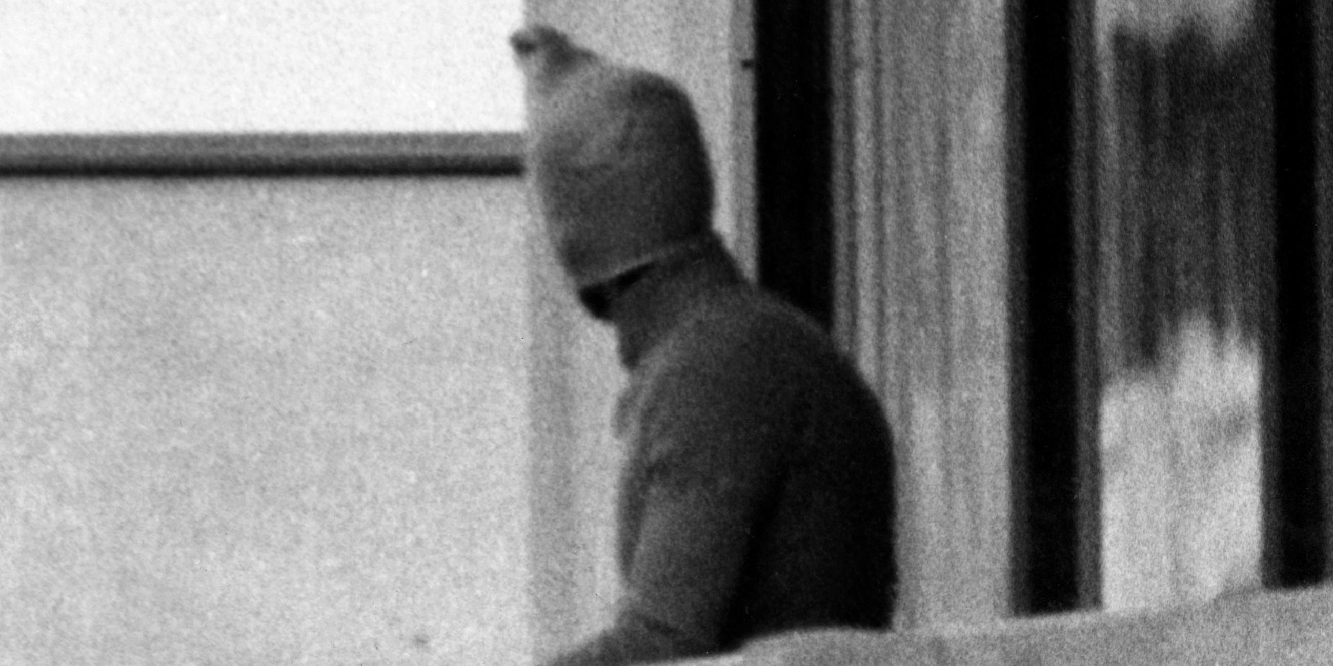 Ein vermummter arabischer Terrorist zeigt sich am 05.09.1972 auf dem Balkon des israelischen Mannschaftsquartiers im Olympischen Dorf der Münchner Sommerspiele.