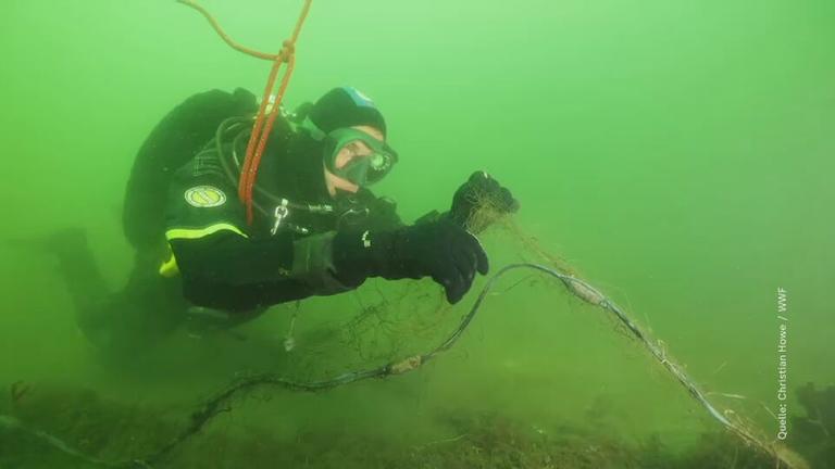 Ein Taucher entfernt Geisternetze aus dem Meer