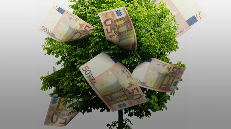 Geld wächst auf einem Baum. Geldscheine sind in der Baumkrone. 