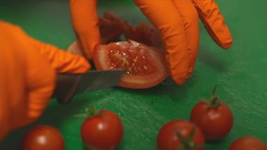 Gen-Tomaten