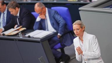 Merz wirft AfD Pläne für "ethnische Säuberungen" vor