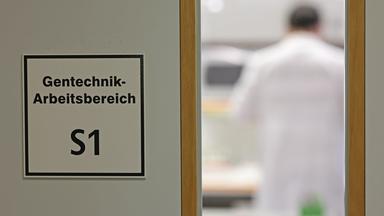 27.05.2025, Sachsen-Anhalt, Gatersleben: Blick in ein Labor des Leibniz-Instituts für Pflanzengenetik und Kulturpflanzenforschung (IPK).