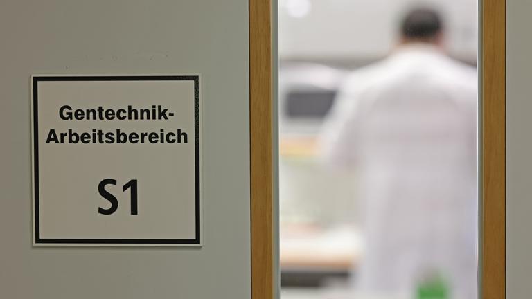 27.05.2025, Sachsen-Anhalt, Gatersleben: Blick in ein Labor des Leibniz-Instituts für Pflanzengenetik und Kulturpflanzenforschung (IPK).