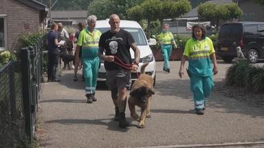 Gerettete Tiere