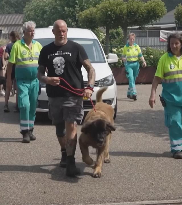 Gerettete Tiere