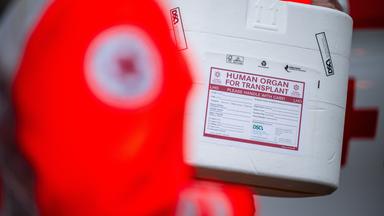 21.01.2025, Berlin: Mitarbeiter des DRK stehen mit einer Kühlbox für eine Organspende vor einem Transporter des Deutschen Roten Kreuzes.