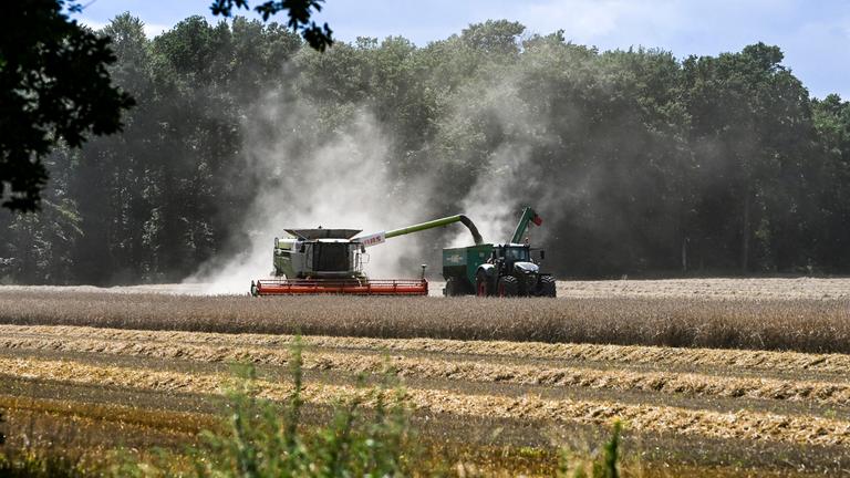 Brandenburg, Großwoltersdorf: Auf einem Getreidefeld wird im Landkreis Oberhavel die Ernte eingebracht. Wegen des unbeständigen Wetters stockt die Ernte derzeit.