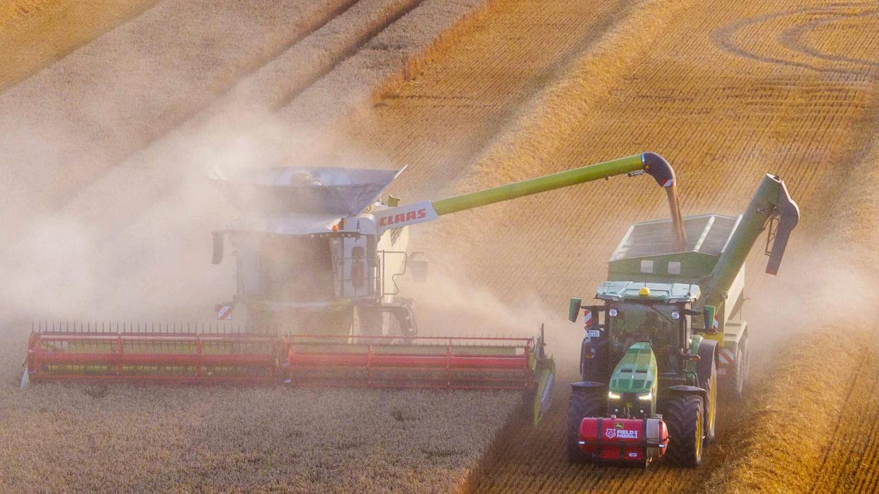 Hitze-Bilanz der Bauern: Ernte fällt geringer aus als im Vorjahr