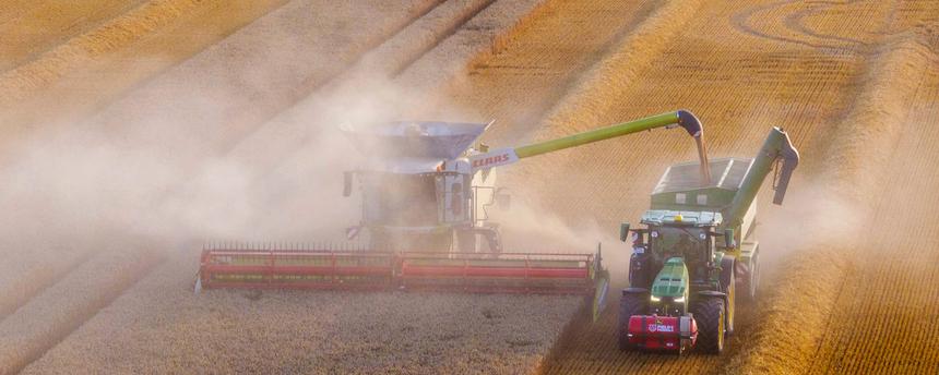 Mähdrescher fahren am Abend bei der Weizenernte über einen Getreideacker in Benzin, Mecklenburg-Vorpommern