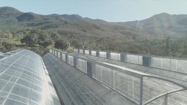 Eine Wasserwand kühlt ein Gewächshaus