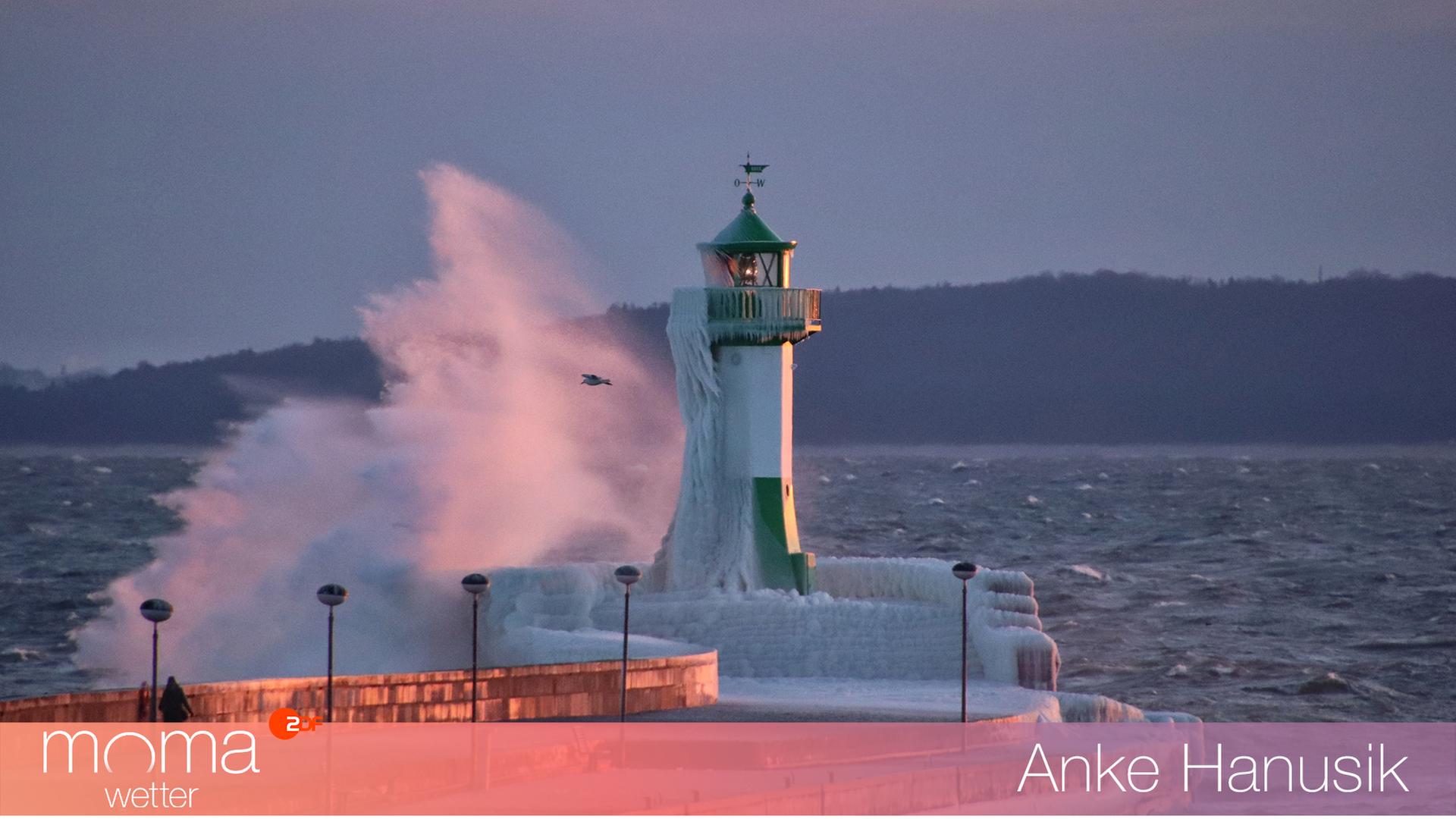 Gewinnerfoto vom 6. Februar 2026