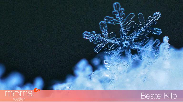Eiskristall auf einem schneebedeckten Fichtenzweig im Sauerland