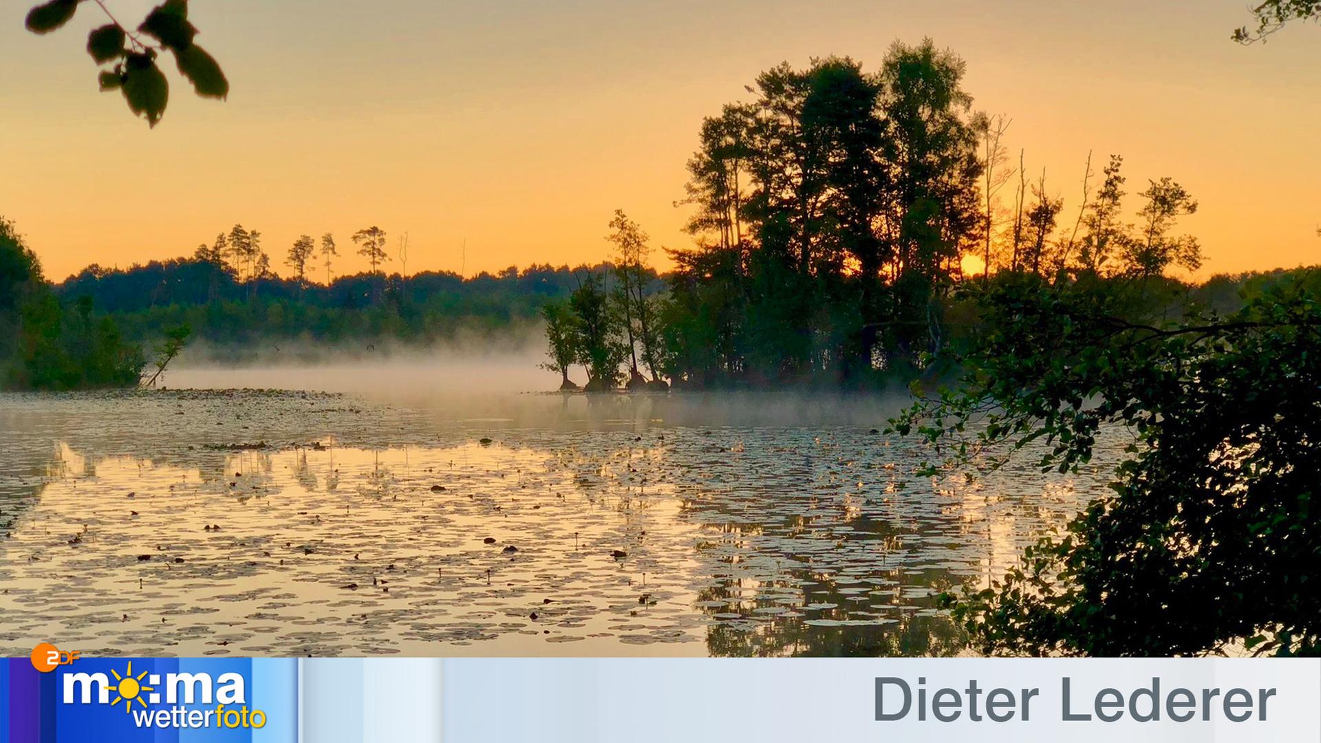 Gewinnerfoto vom 06. Juli 2018