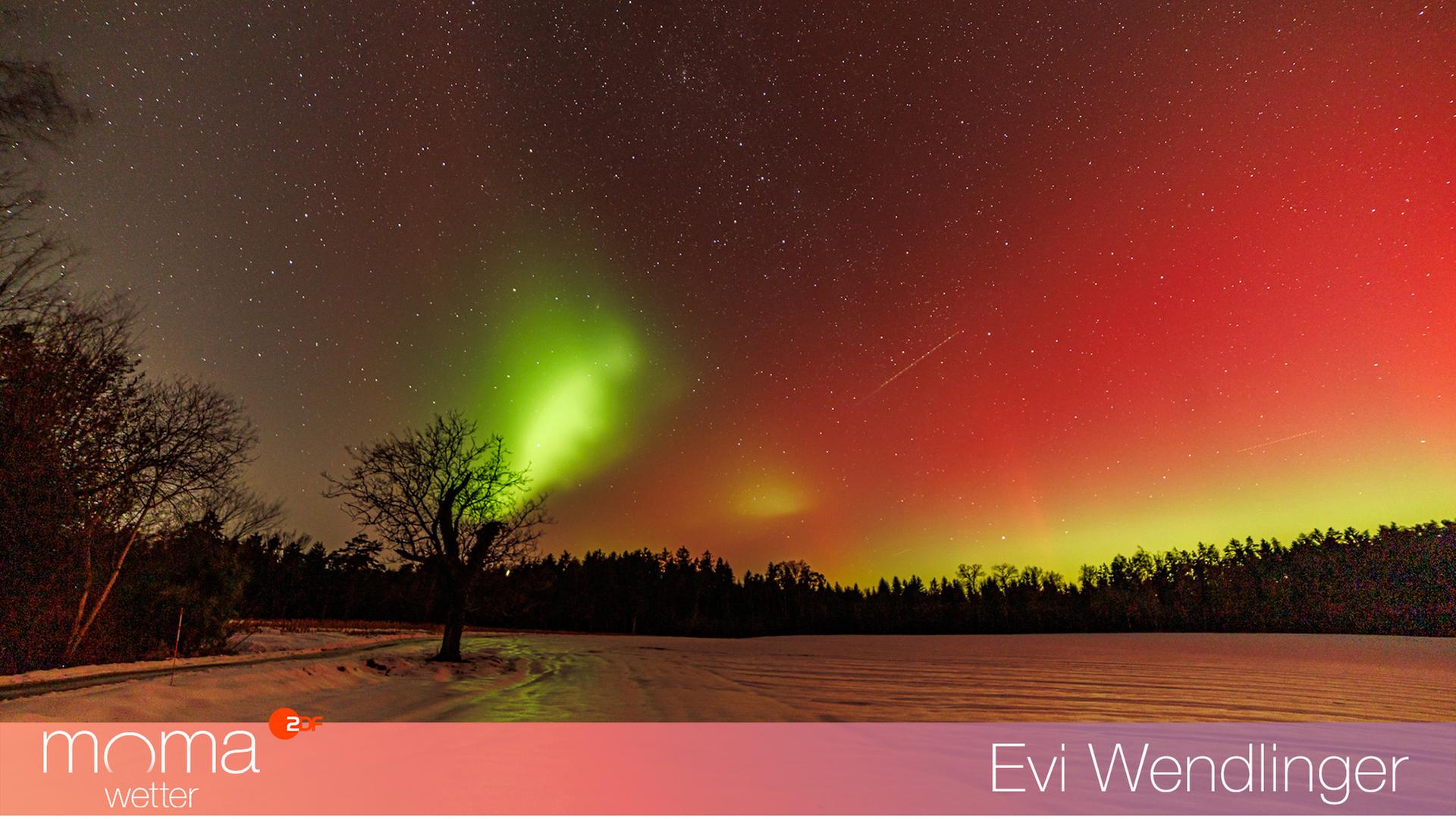 Gewinnerfoto vom 23. Januar 2026