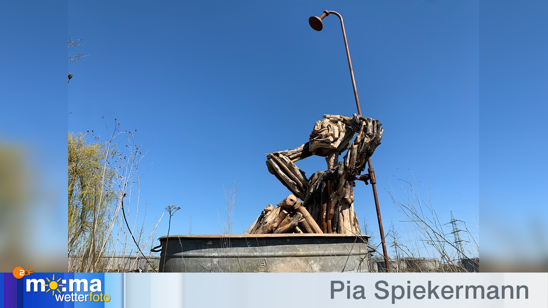 Gewinnerfoto vom 31. Juli 2020