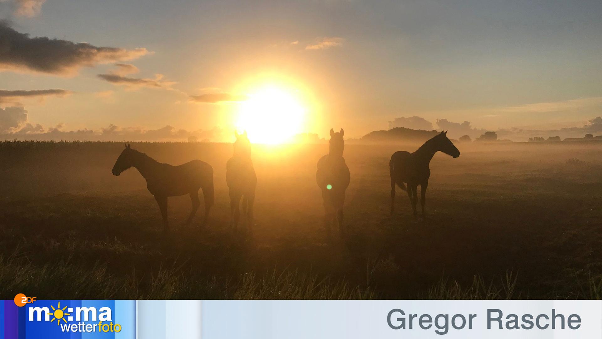 Gewinnerfoto vom 14. August 2020
