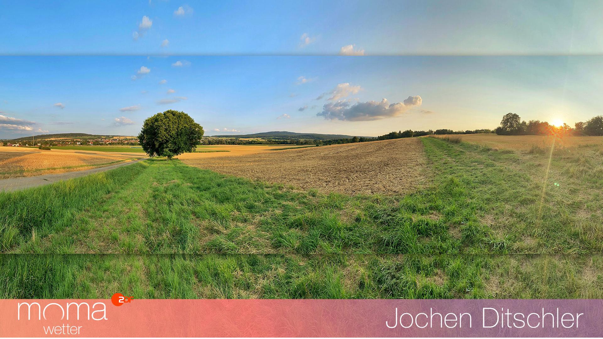 Gewinnerfoto vom 26. Juli 2024