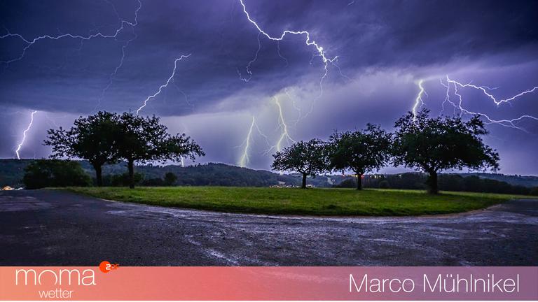 Gewinnerfoto vom 12. Juli 2024