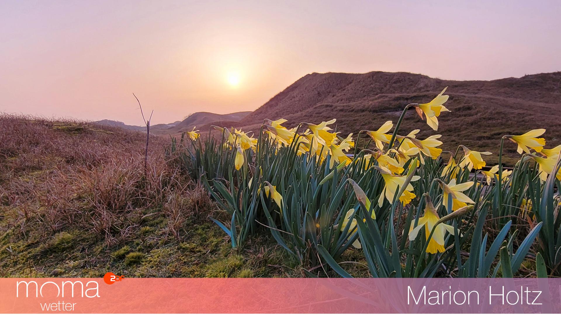 Gewinnerfoto vom 25. März 2022