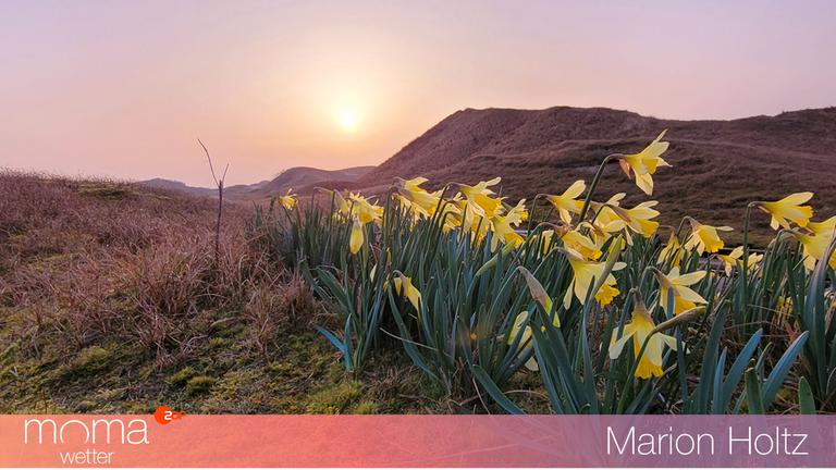 Gewinnerfoto vom 25. März 2022