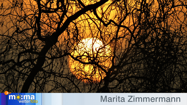 Gewinnerfoto vom 31.Januar 2020
