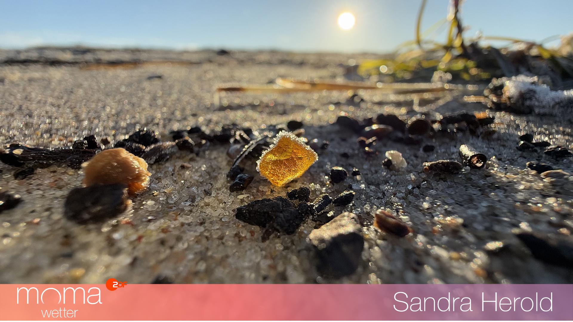 Gewinnerfoto vom 7. Februar 2025
