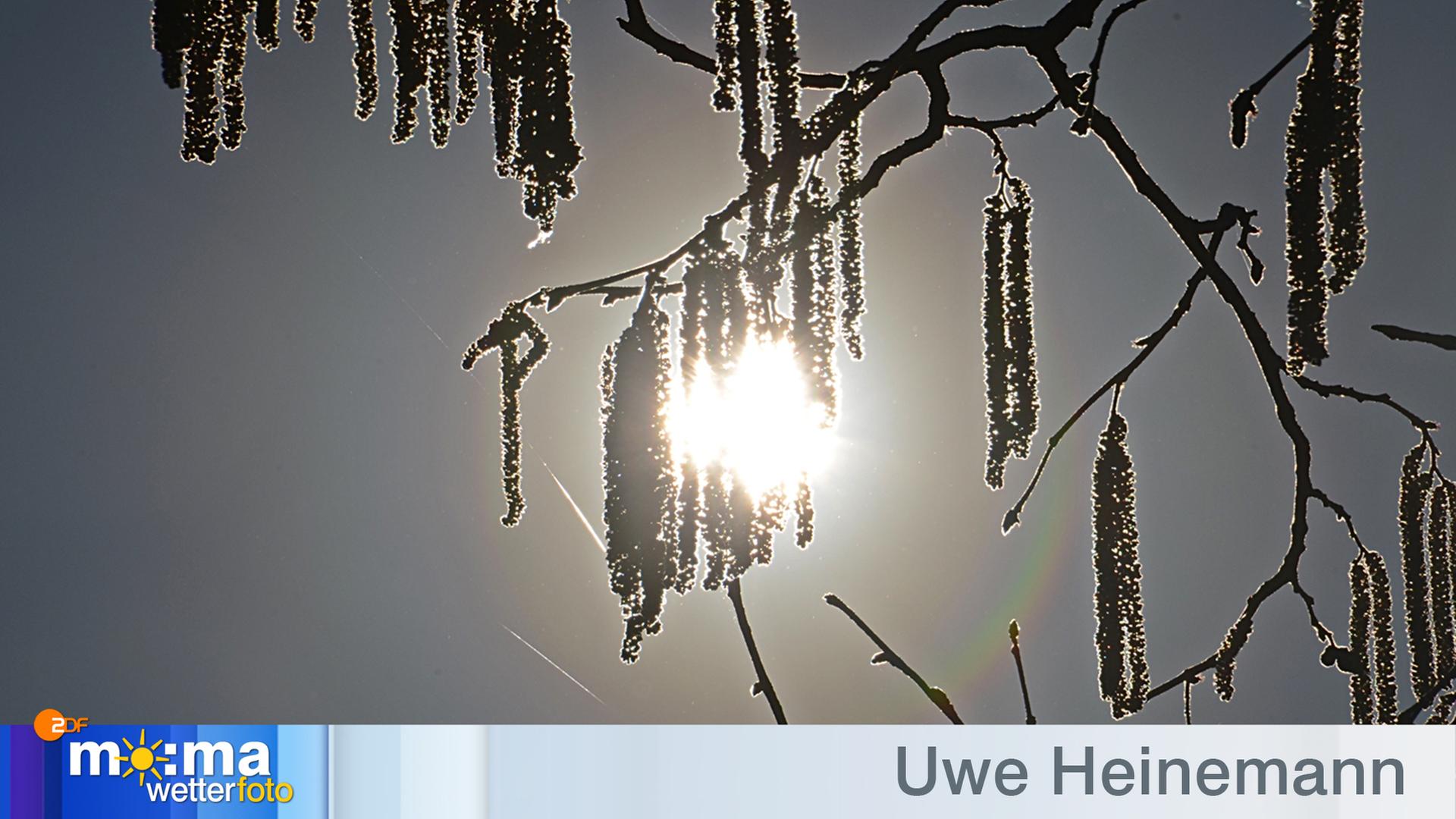 Gewinnerfoto vom 1. März 2019