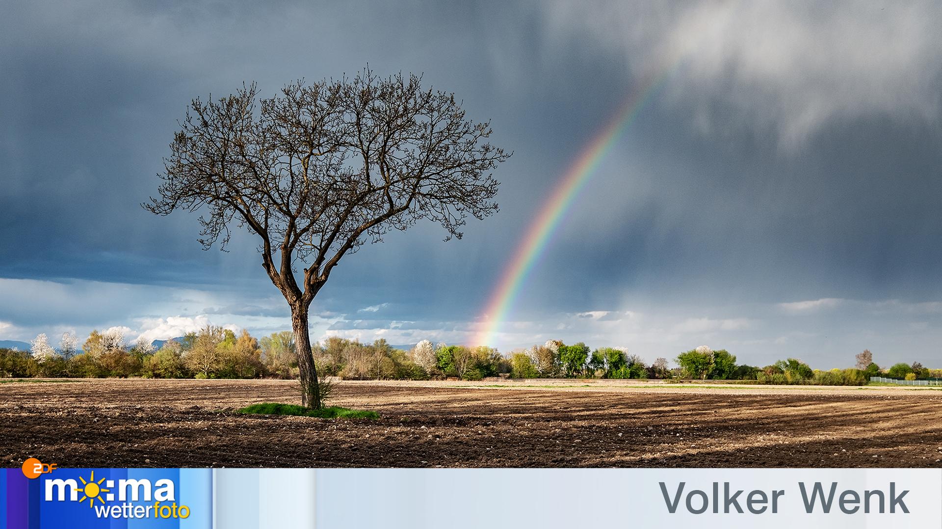 Gewinnerfoto vom 27. April 2018