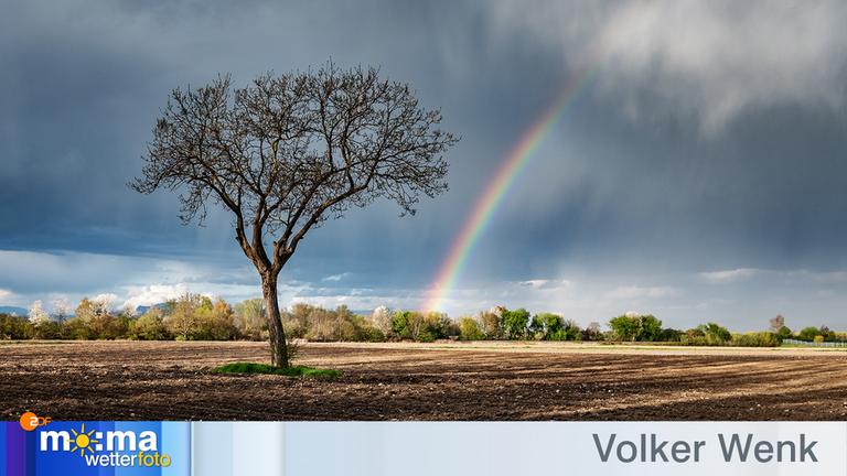 Gewinnerfoto vom 27. April 2018