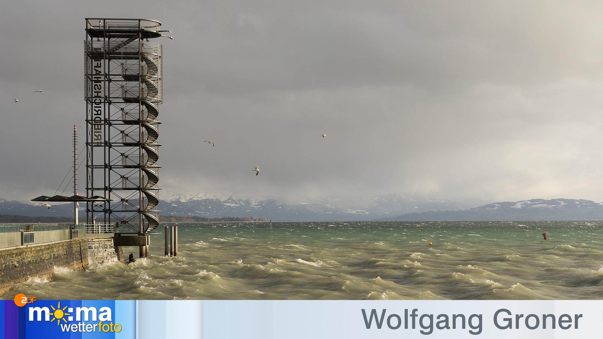 Gewinnerfoto vom 14. Februar 2020