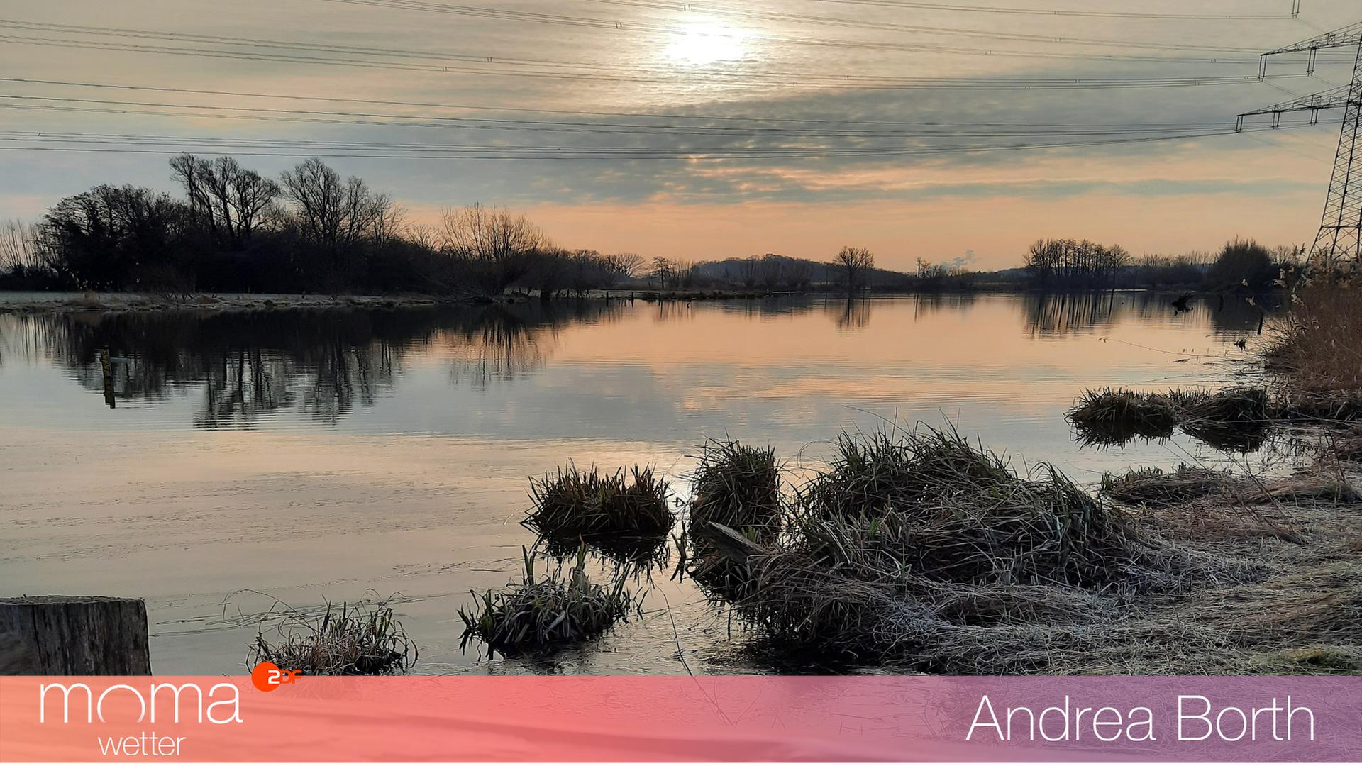 Gewinnerfoto vom 11. März 2022