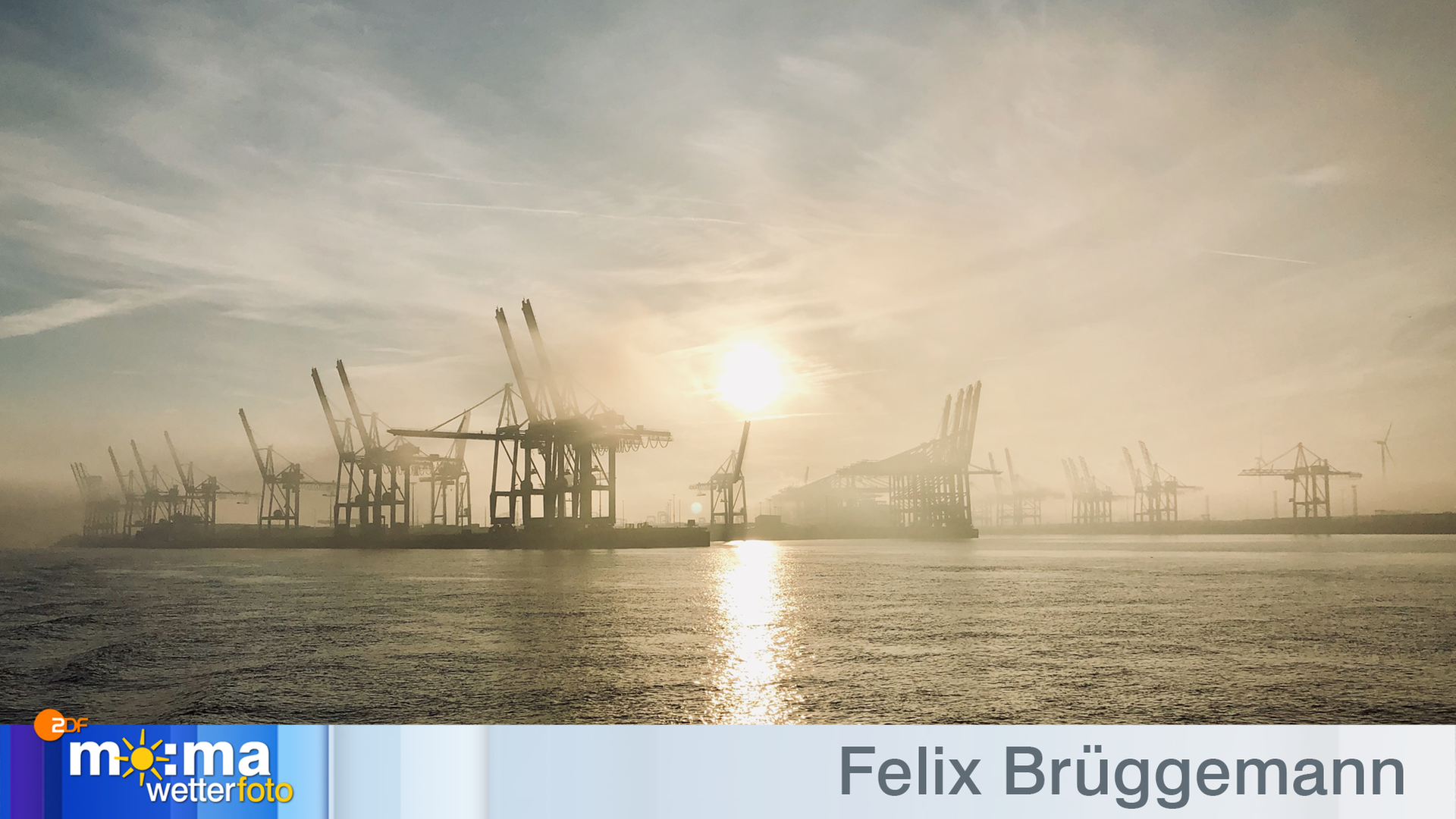 Gewinnerfoto vom 09. November 2018