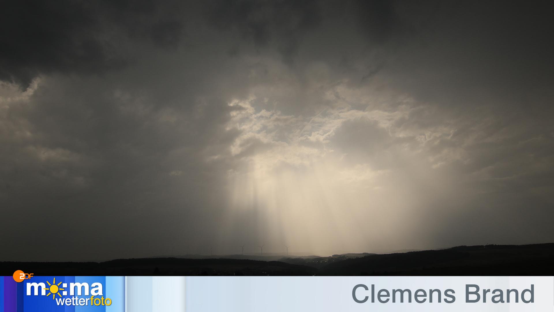 Gewinnerfoto vom 31. August 2018