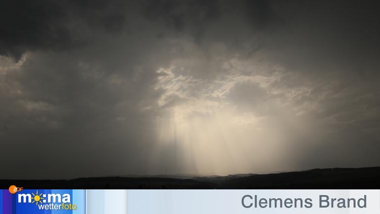 Gewinnerfoto vom 31. August 2018