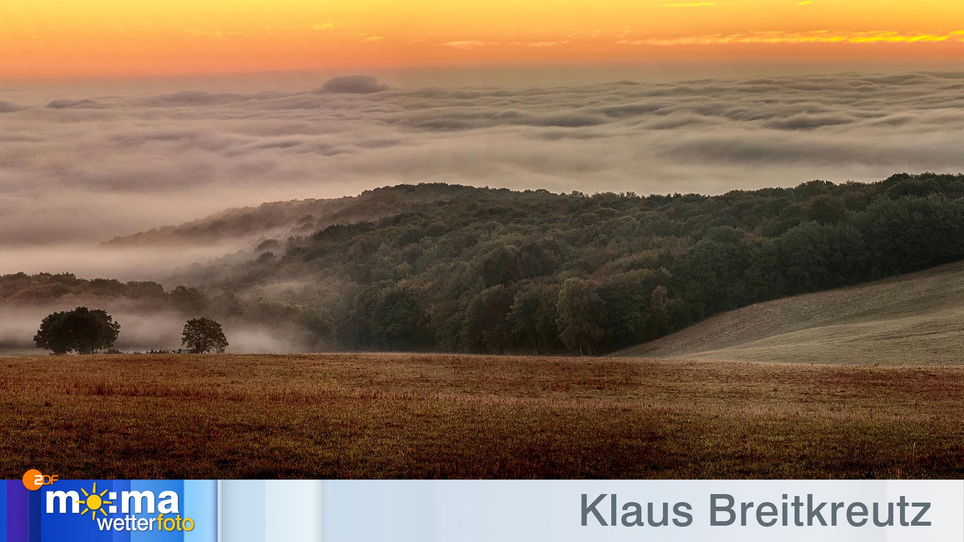 Gewinnerfoto vom 28. September 2018
