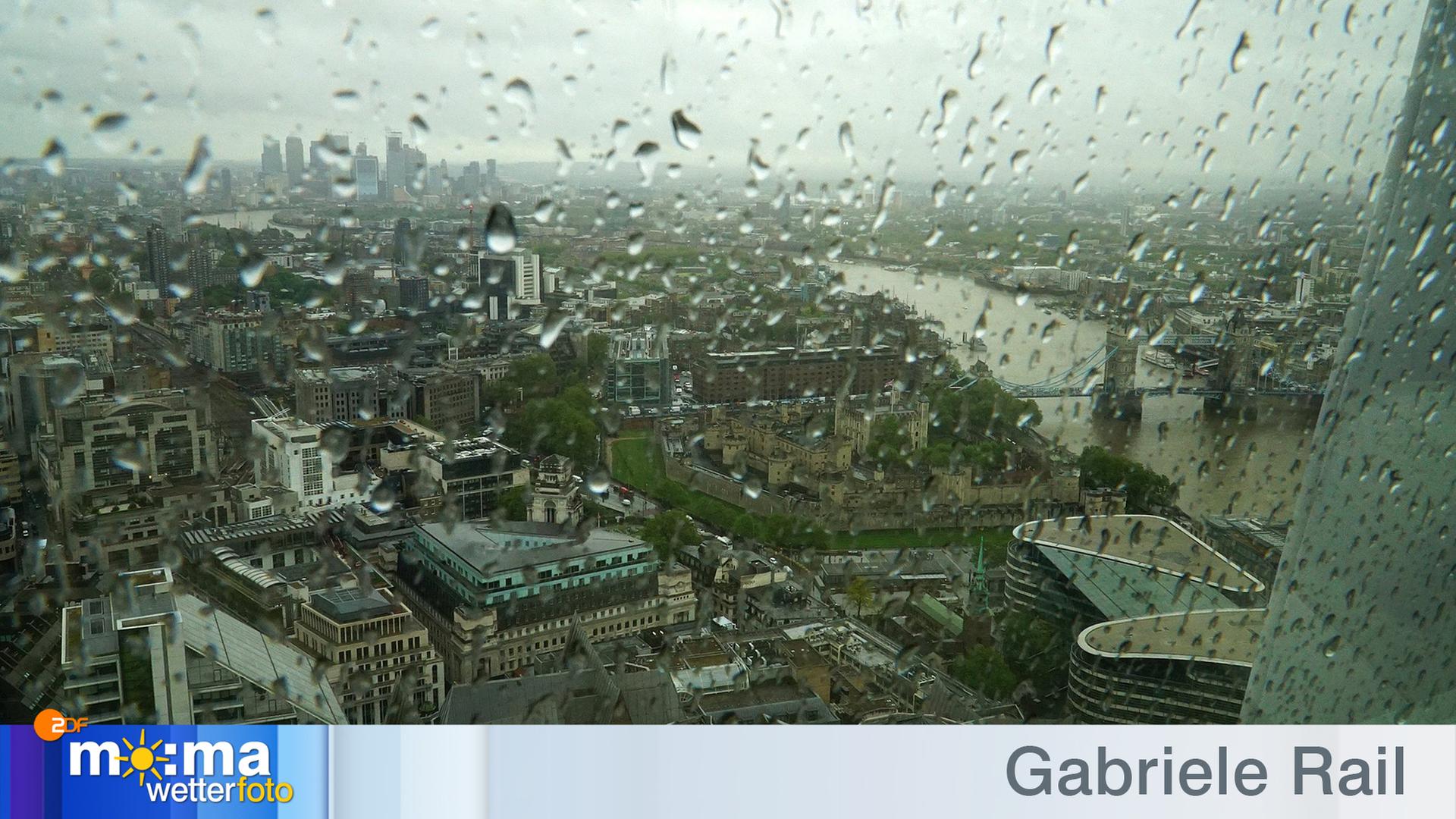 Gewinnerfoto vom 2. August 2019