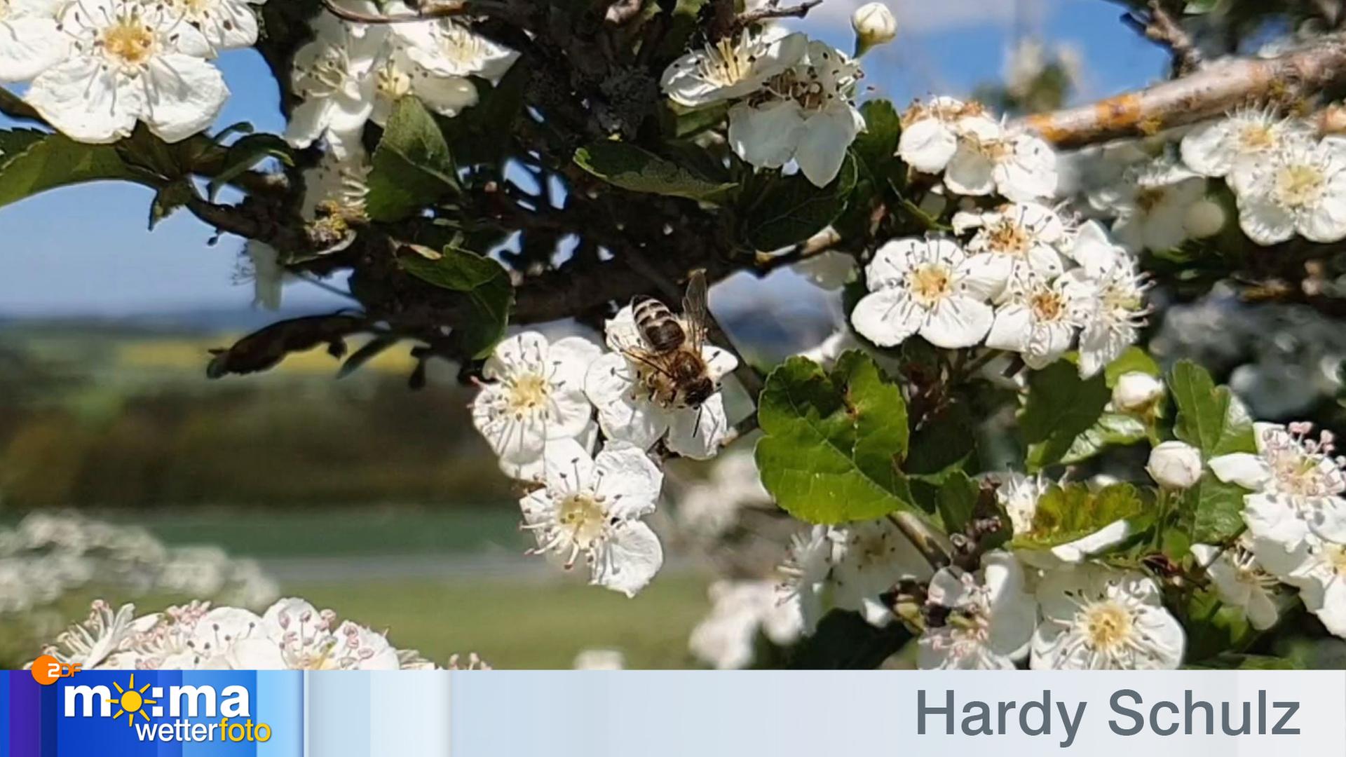 Gewinnerfoto vom 22. Mai 2020