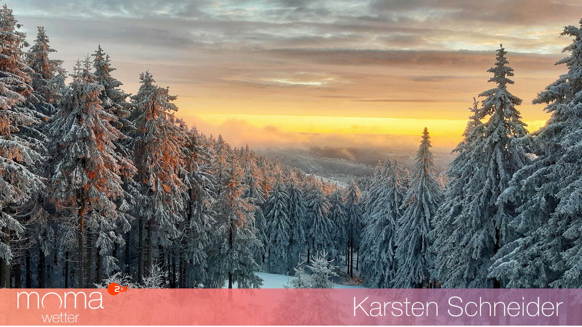 Gewinnerfoto vom 13.12.2024