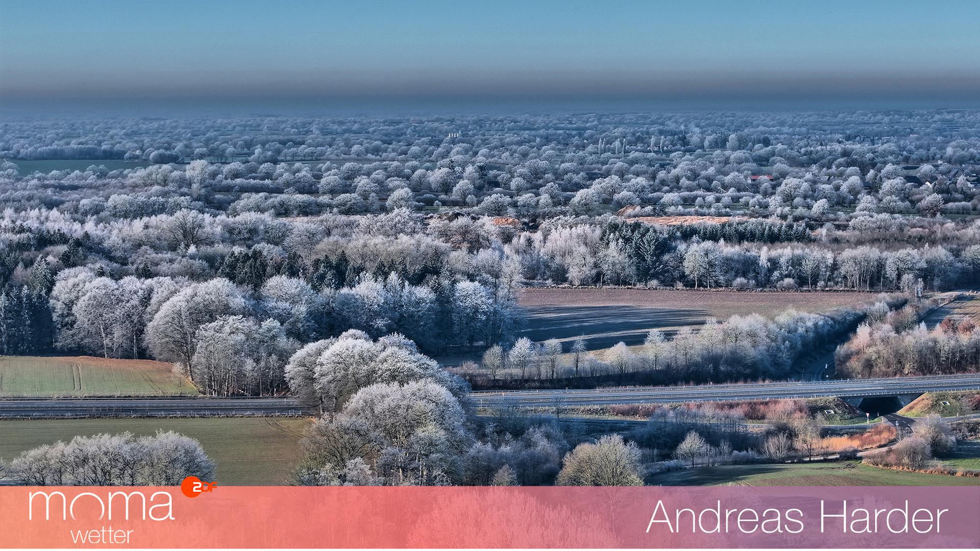 Gewinnerfoto vom 24. Januar 2025