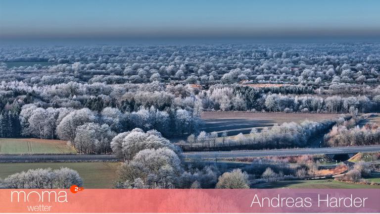 Gewinnerfoto vom 24. Januar 2025