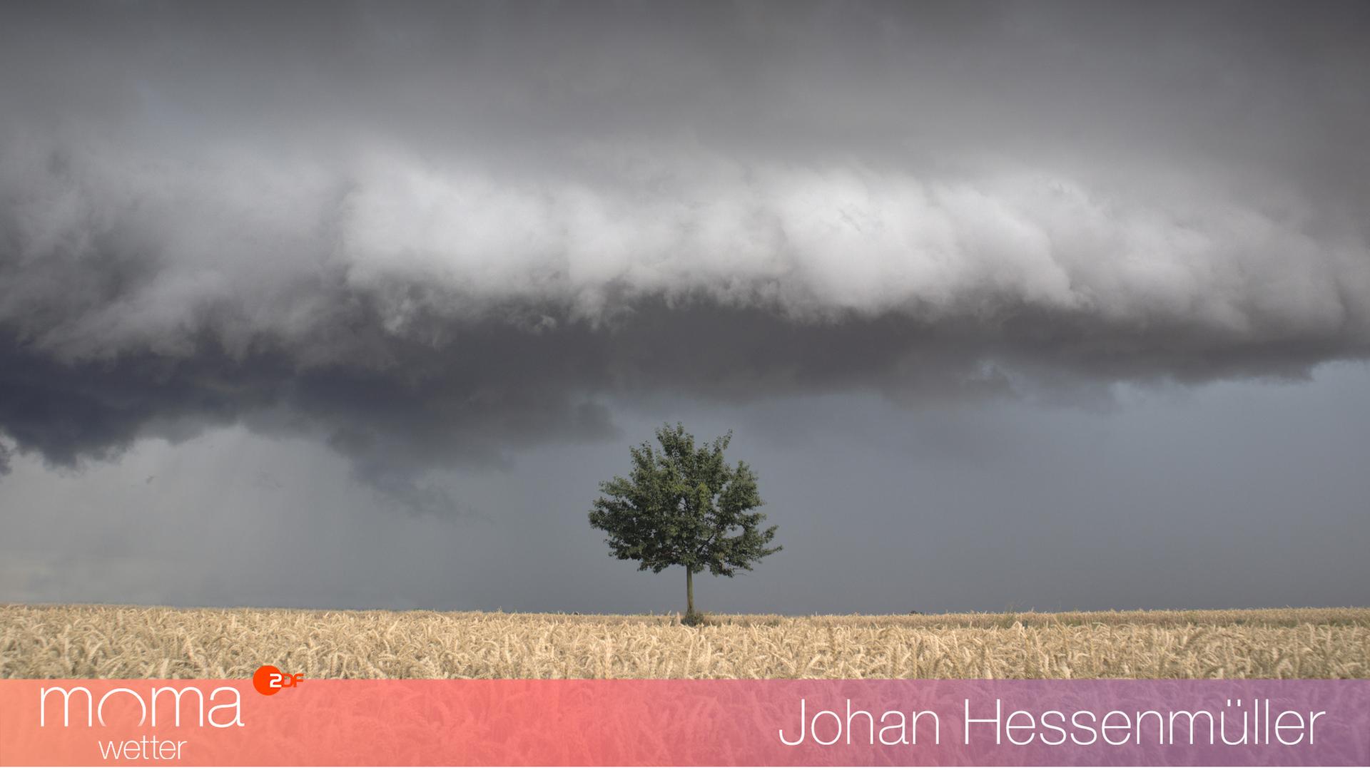 Gewinnerfoto vom 11. Juli 2025