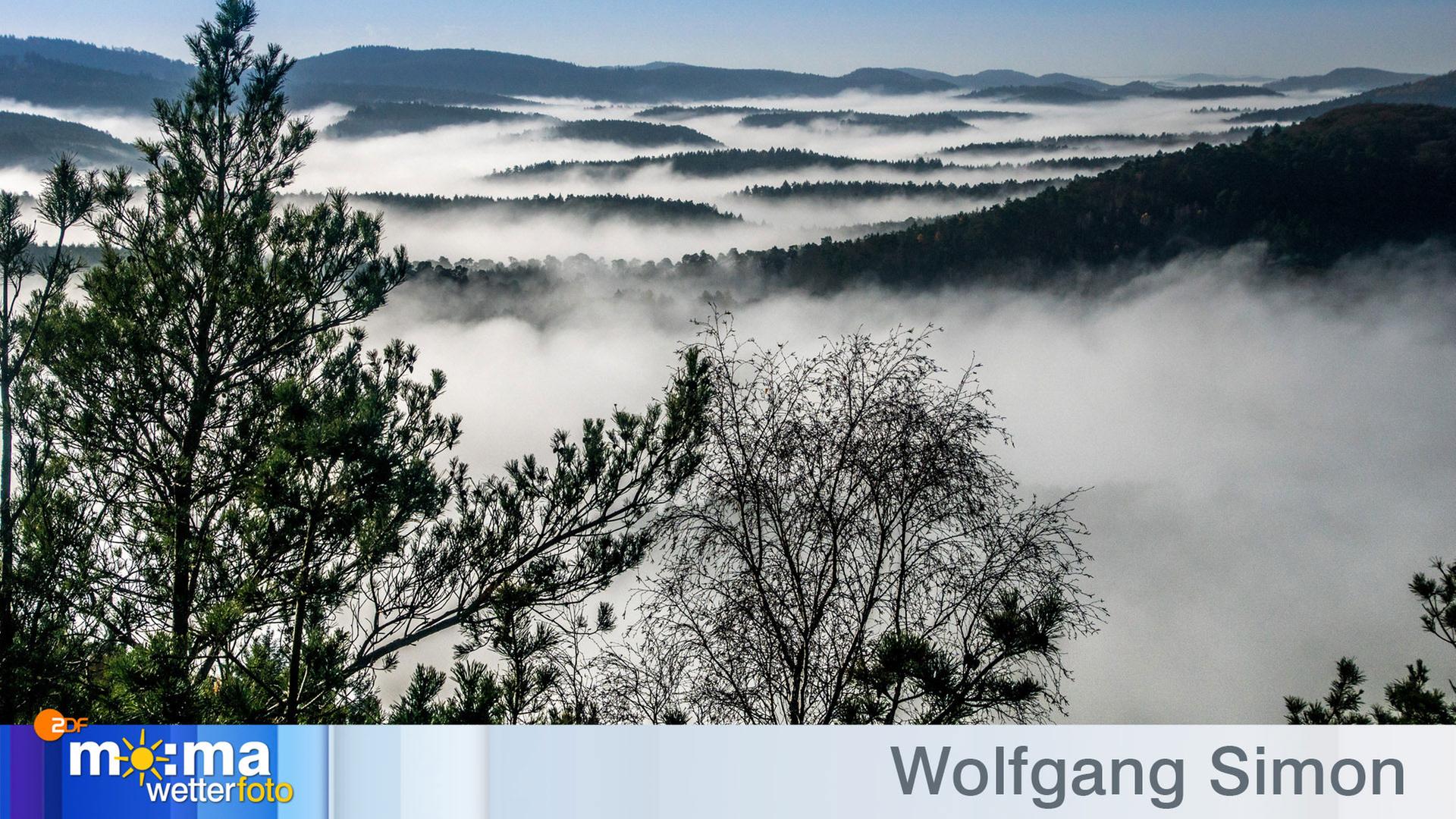 Gewinnerfoto 2 vom 6. Dezember 2019