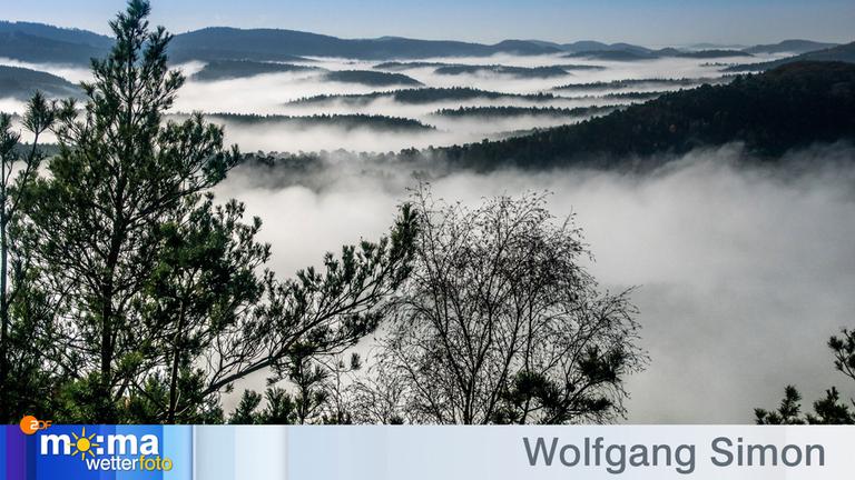 Gewinnerfoto 2 vom 6. Dezember 2019