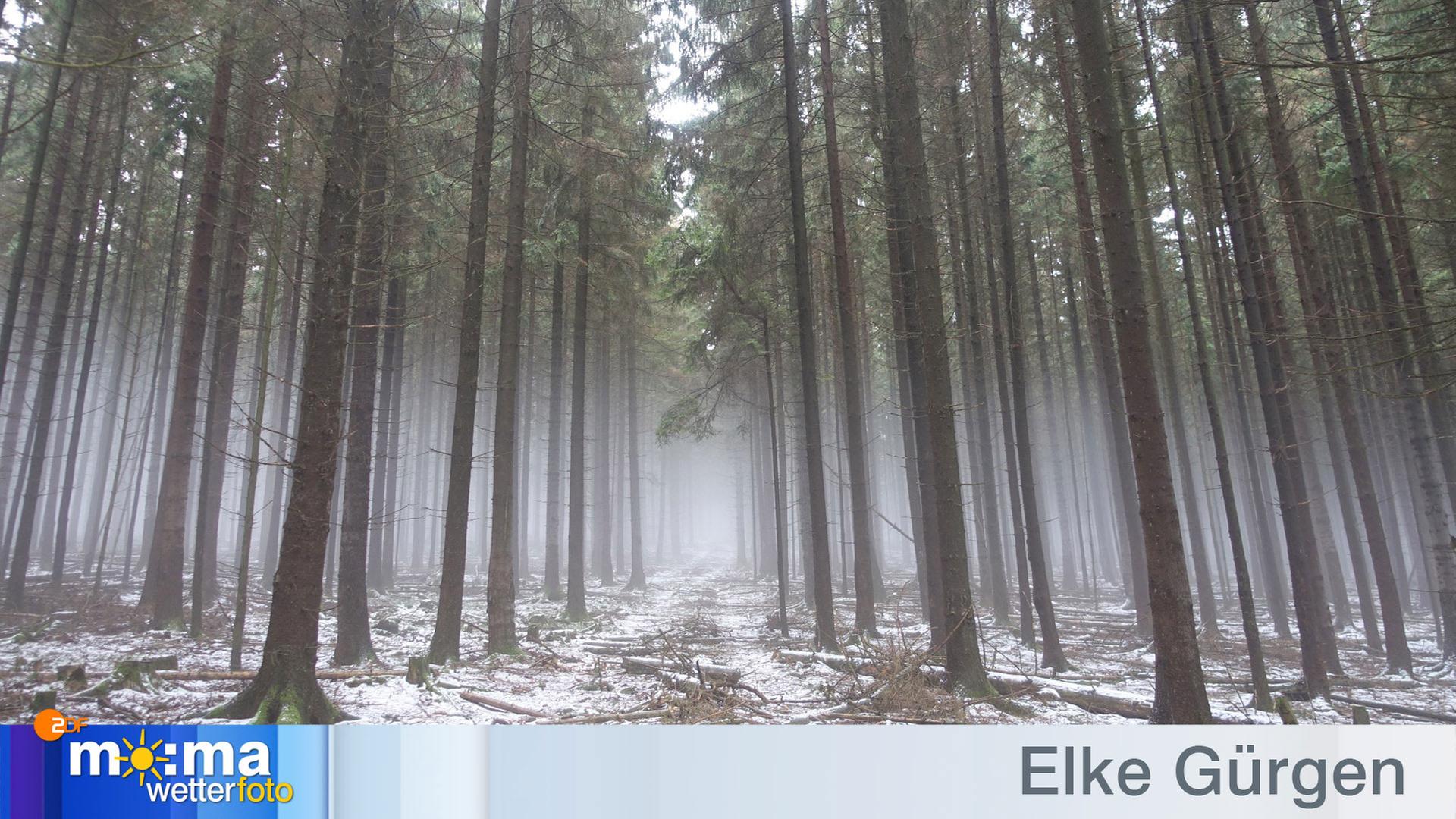 Gewinnerfoto 7 vom 6. Dezember 2019