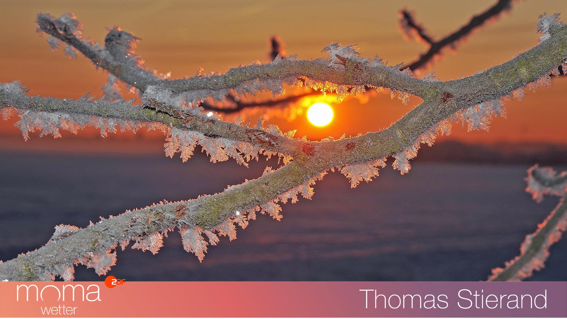 Gewinnerfoto vom 12. Januar 2024