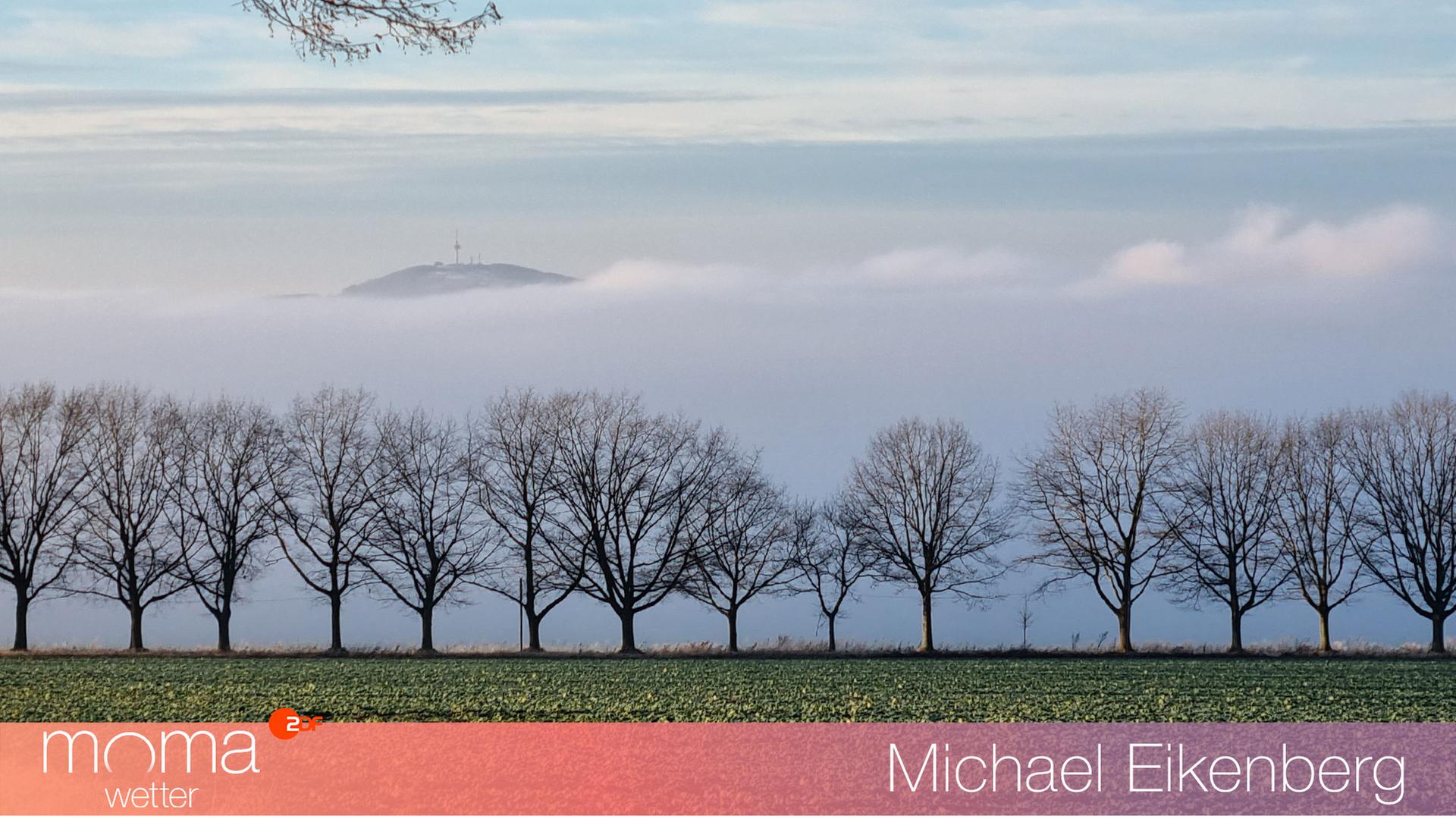 Gewinnerfoto vom 14. Januar 2022